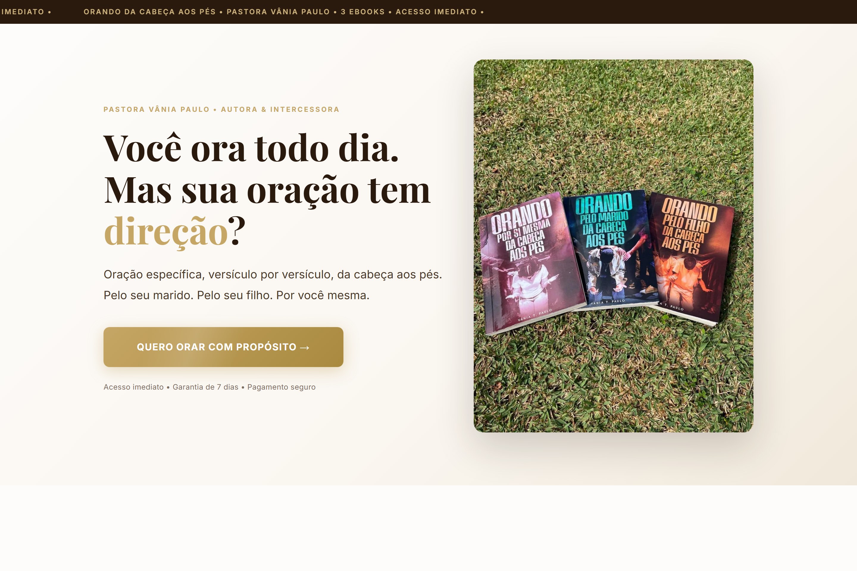 Mockup do site Alive pro nicho Coletânea ebooks